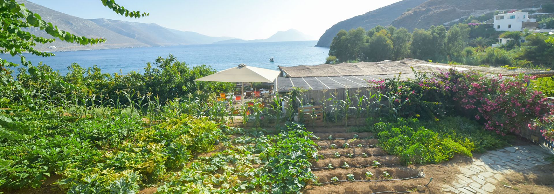 HONORING THE NATURE’S GIFTS